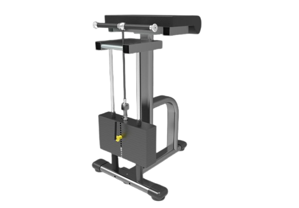DFT-1268 WRIST CURL (GATEGOLD BRAND)